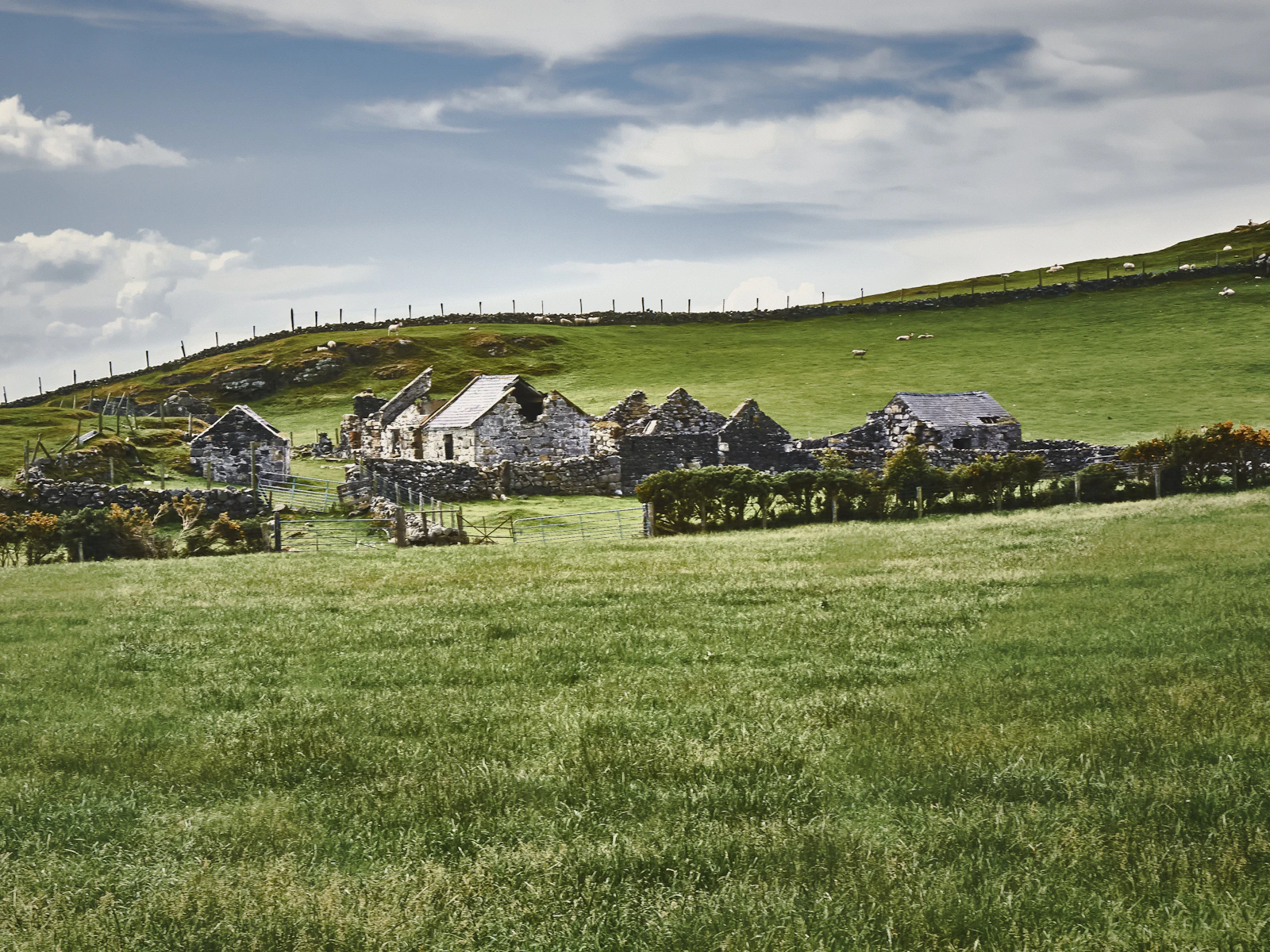 Illustrative photo of white and gray house on green grass field under white clouds and blue sky during daytime