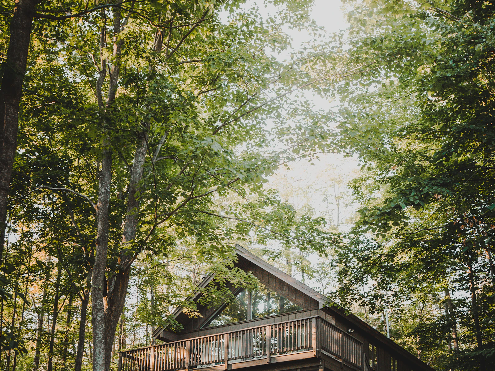 Illustrative photo of brown wooden house surrounded by green trees during daytime