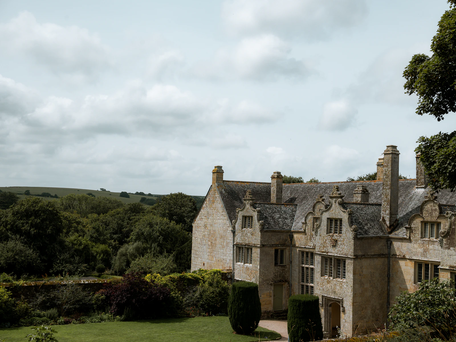 Illustrative photo of a large house with a lot of trees in front of it